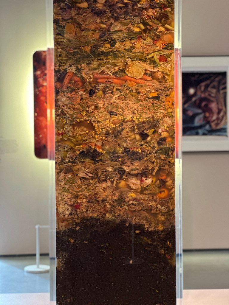 Carcass - a large, transparent perspex box containing layers of decomposing food waste